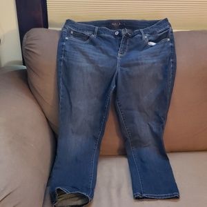 Torrid Capri Jeans